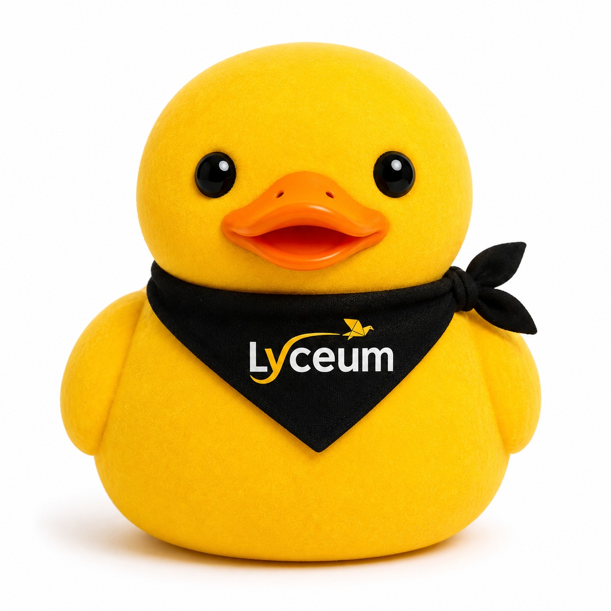 Patinho Lyceum